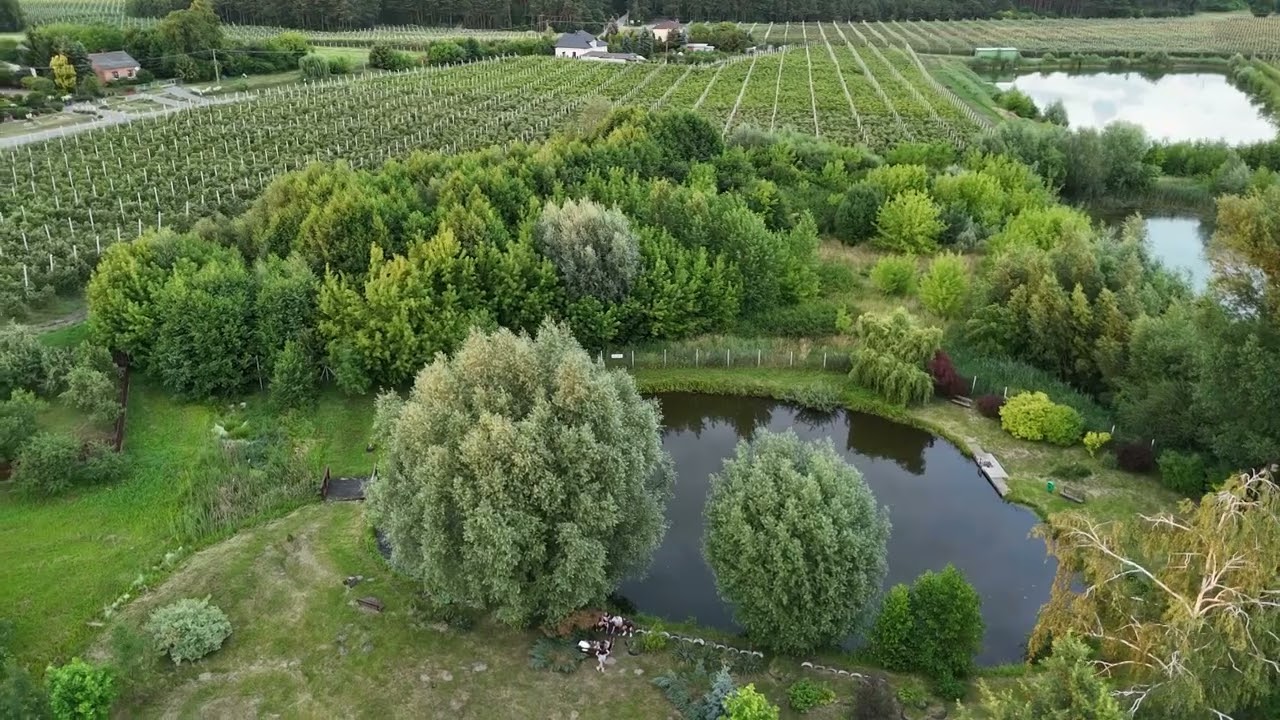 Leżenice z lotu ptaka (Gmina Głowaczów)