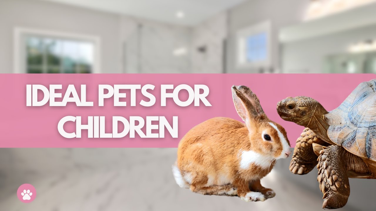 IDEAL PETS FOR CHILDREN
