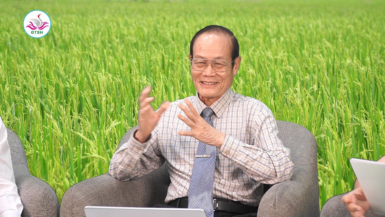 Có nên kết hợp thuốc trừ bệnh với thuốc trừ sâu để phun trong giai đoạn lúa trổ lẹt xẹt hay không?