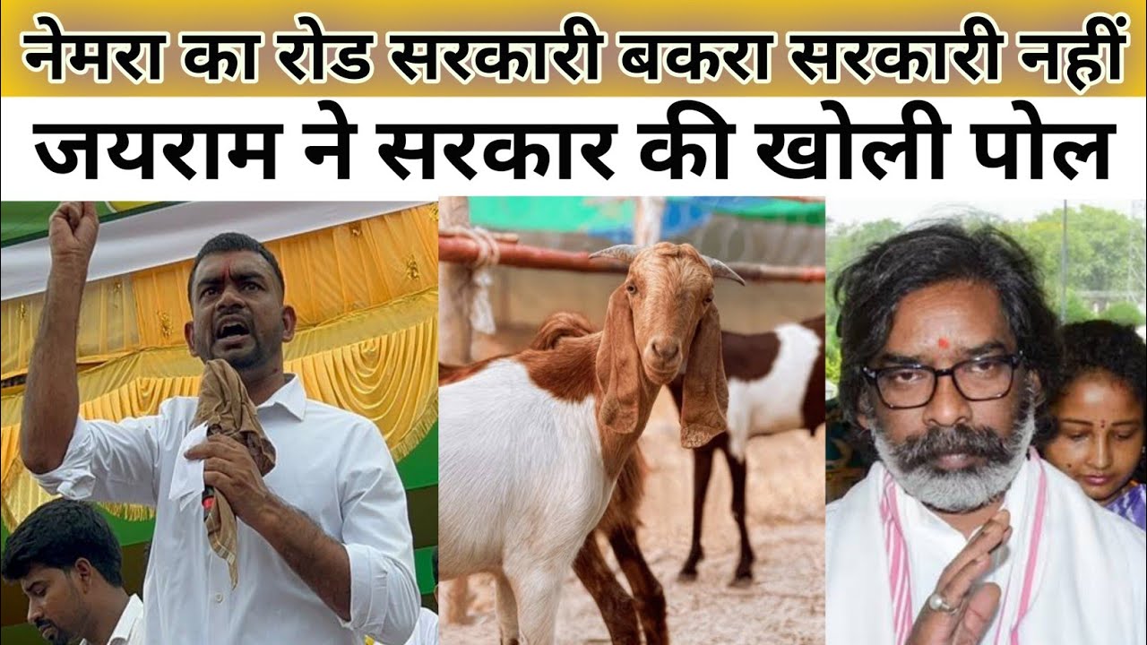 नेमरा का रोड सरकारी 5 हजार बकरा सरकारी नहीं | जयराम ने सरकार की धज्जियां उड़ाई खोली पोल| jairam live