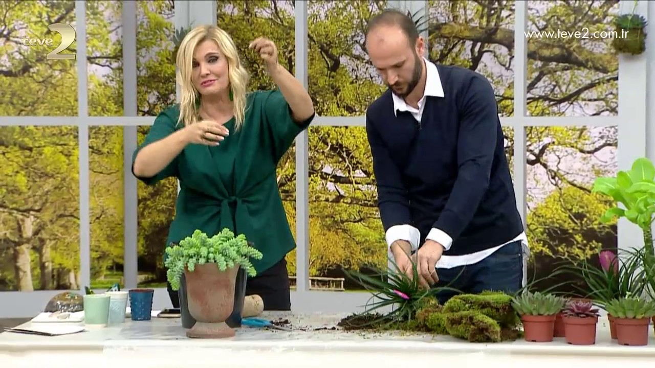 Derya Baykal'la Gülümse: Kokedama Yapımı