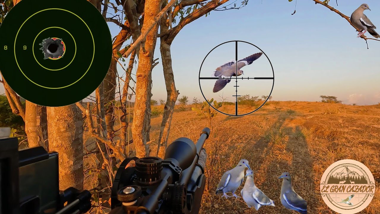 Cacería De Palomas Y PRUEBA De PRESICION Con El AVENGE-X! ¡¡EL MEJOR RIFLE!!