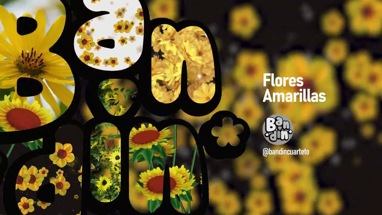 Band&iacute;n &mdash; Flores Amarillas (Cuarteto)