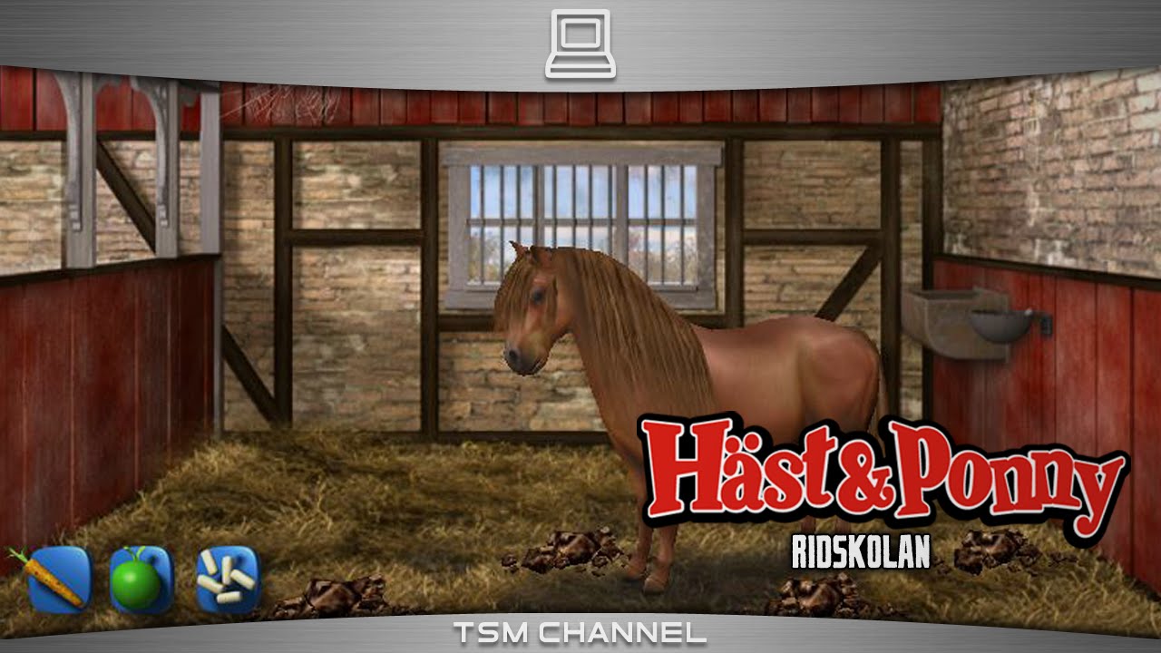 Horse and Pony : Riding School / Hast Och Ponny : Ridskolan (Horse Game)
