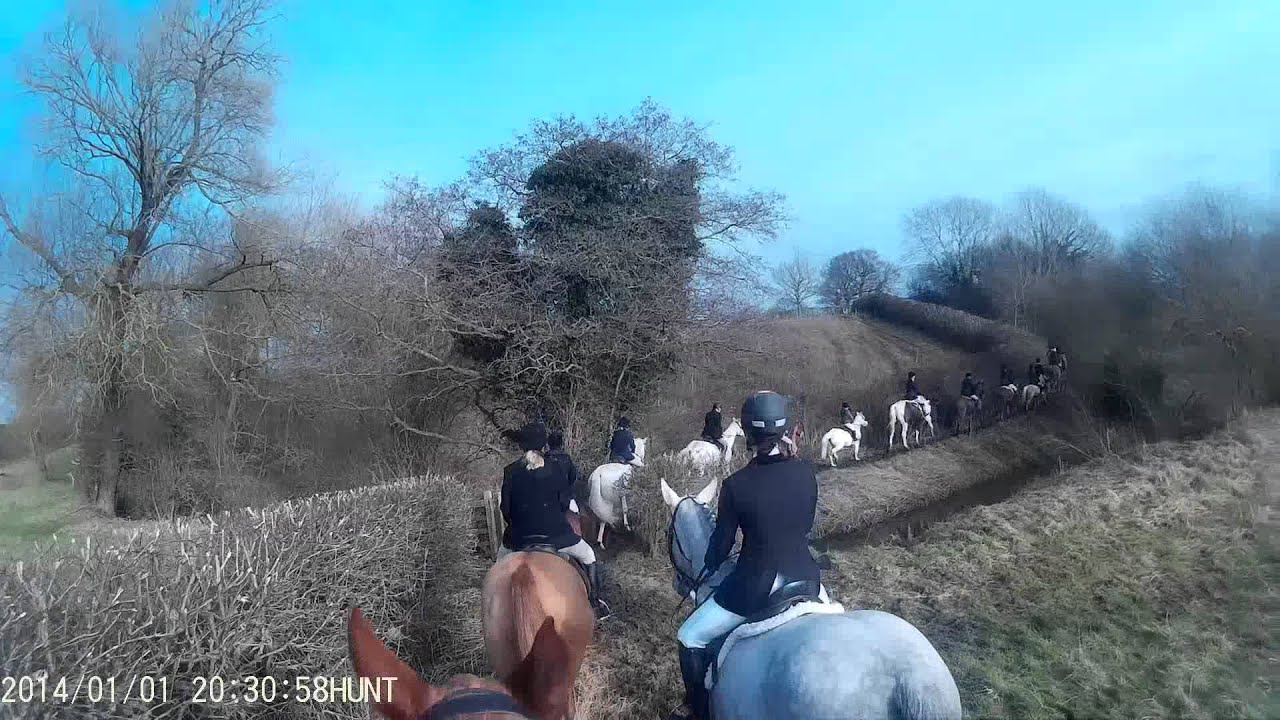 Cheshire Bloodhound hunt meet 25/01/2015