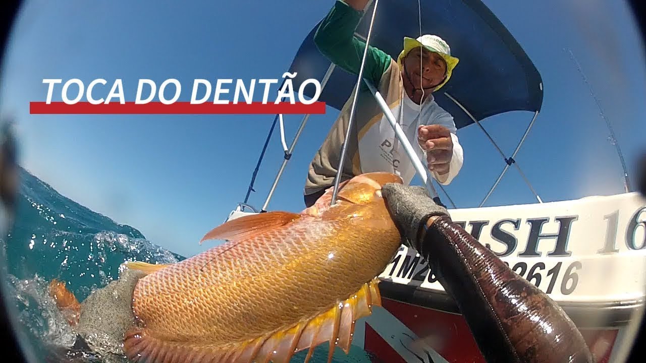 PEDRA LOTADA DE VERMELHO DENTÃO! #pescaria #fish #pescasub #spearfishing 