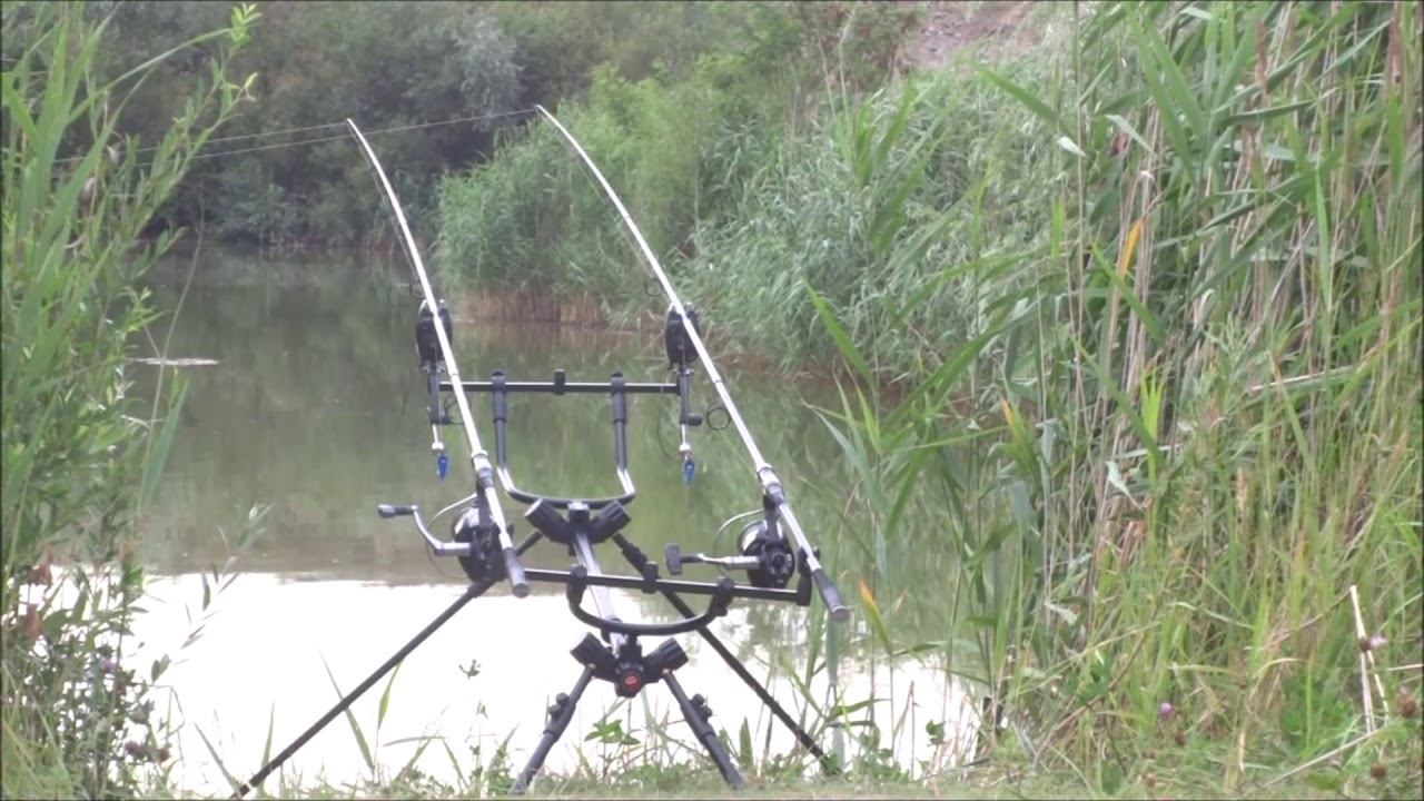 Carp Run Compilation 2021!