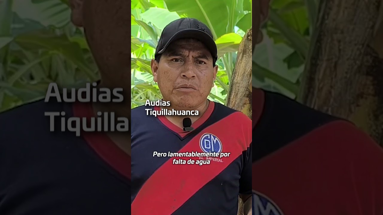 🌾🚨 La agricultura en Olmos est&aacute; en peligro #shorts