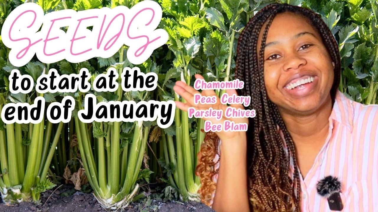 Start These Seeds Indoors 10 Weeks Before Last Frost || Irie Gardener