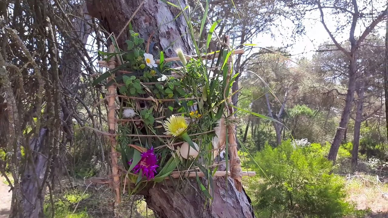 Tear da Natureza