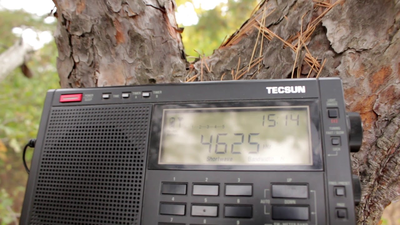Лес, радиоприемник Tecsun PL600