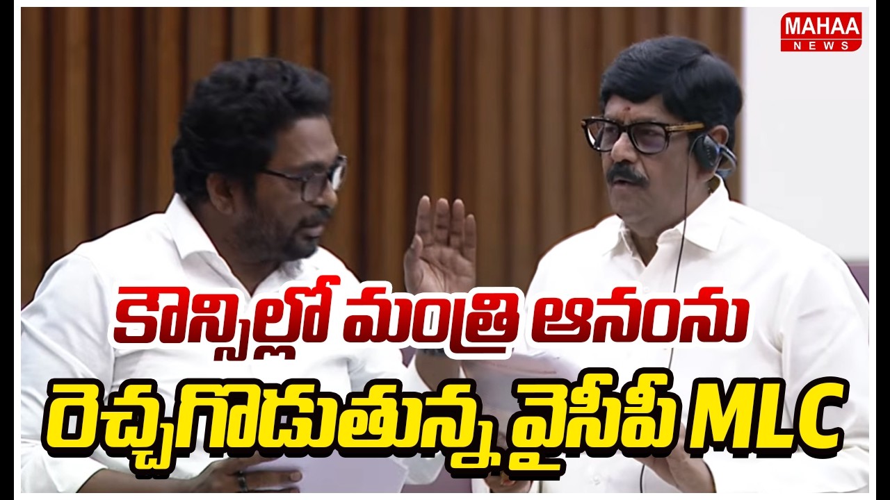 కౌన్సిల్లో మంత్రి ఆనంను రెచ్చగొడుతున్న వైసీపీ MLC | Mahaa News