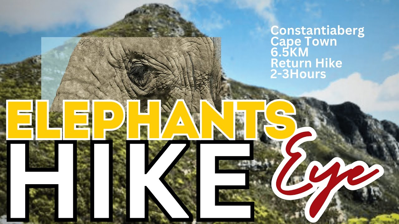 Into the Eye: A Father-Son Journey to Elephant’s Eye