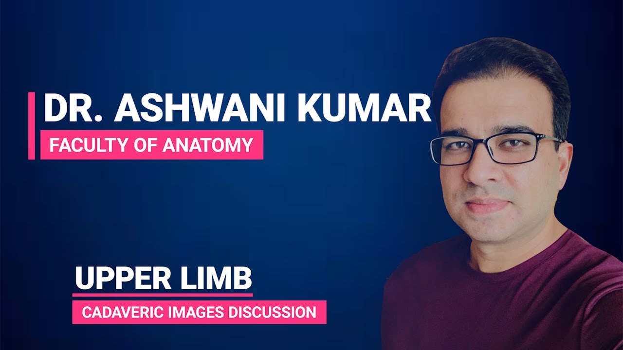 UPPER LIMB ANATOMY (CADAVERIC IMAGES DISCUSSION)