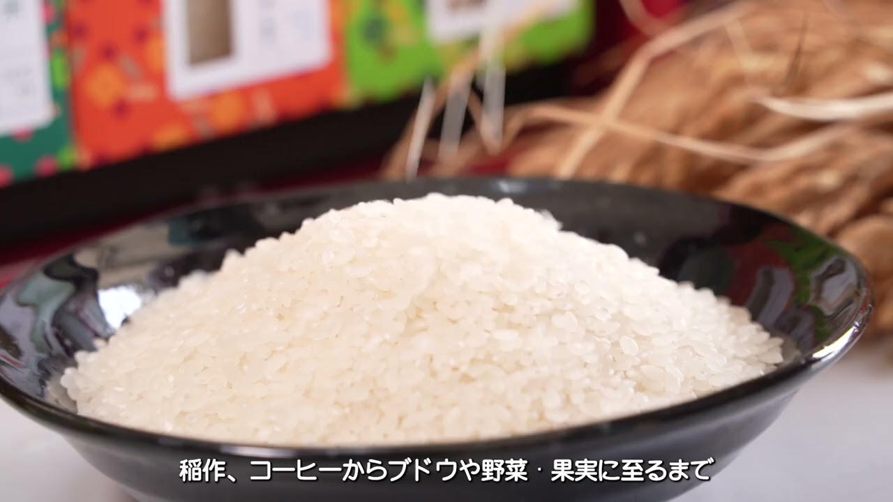 技術概要: ホメオスタティック．システミンス™は他のバイオスティミュラントと何が違うのか？