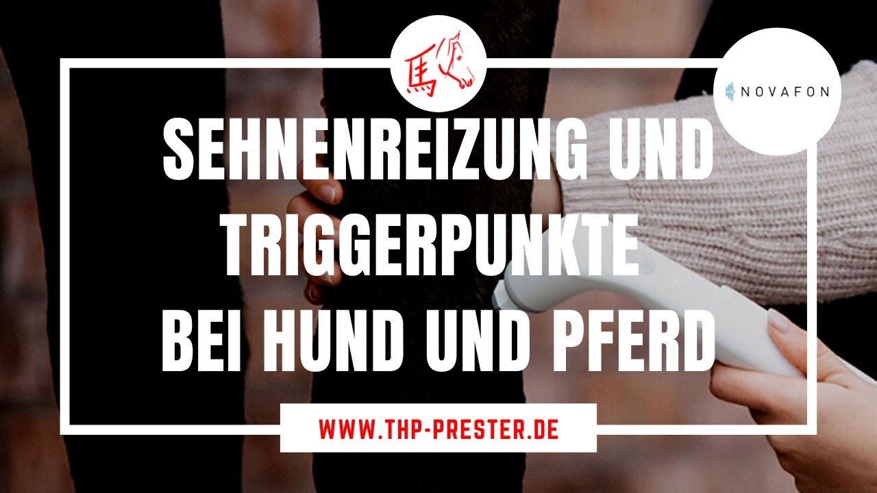 Sehnenreizung und Triggerpunkte bei Hund und Pferd (Novafon)