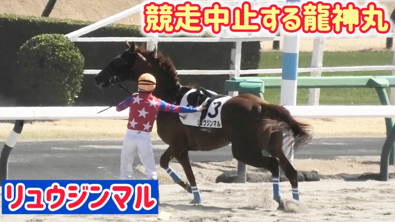 中央復帰初戦、リュウジンマルの異変にいち早く気づき下馬するカズヲ