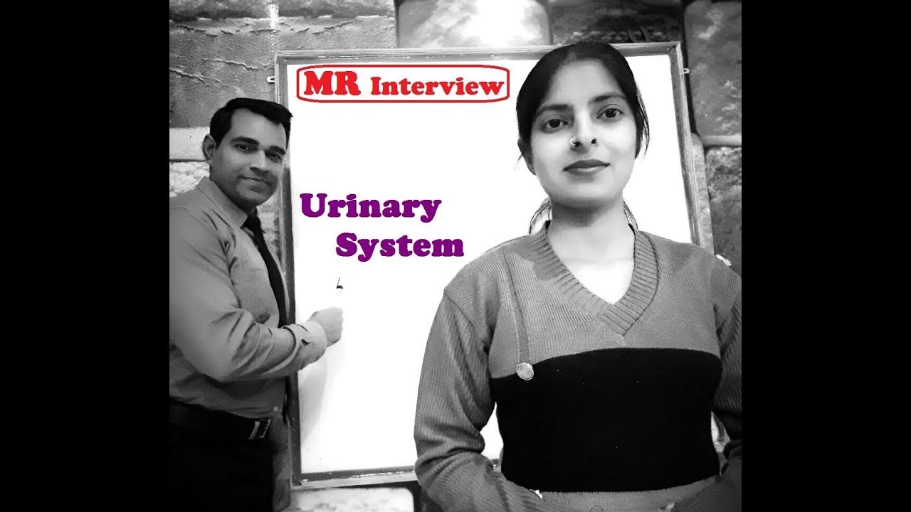 MR Interview Question - Urinary System - Medical Representative Interview Questions