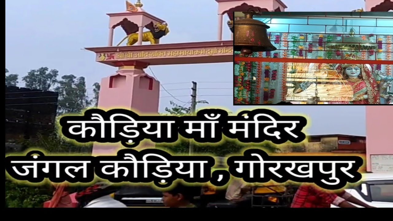 Kaudiya Temple jungle kaudiya pooja Time प्राचीन जंगल कौड़िया मंदिर गोरखपुरJai mata di You tube king