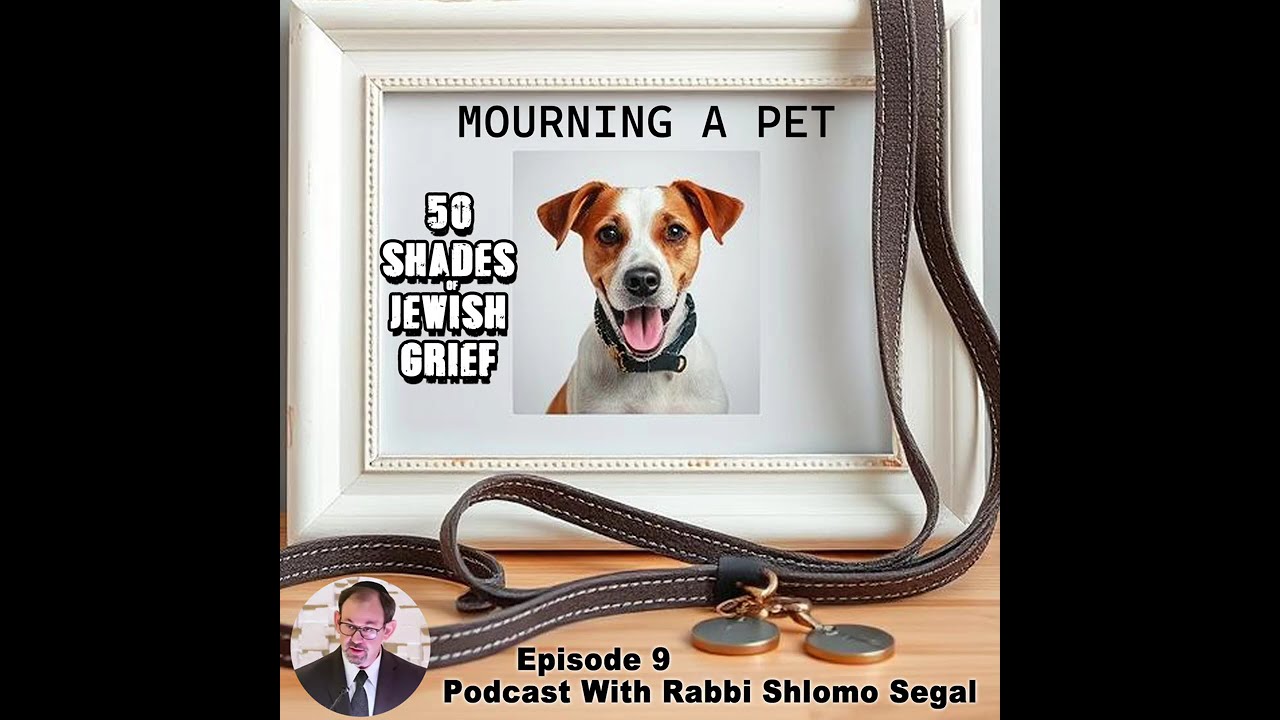 Mourning A Pet - Podcast Ep. 9 - Rabbi Shlomo Segal