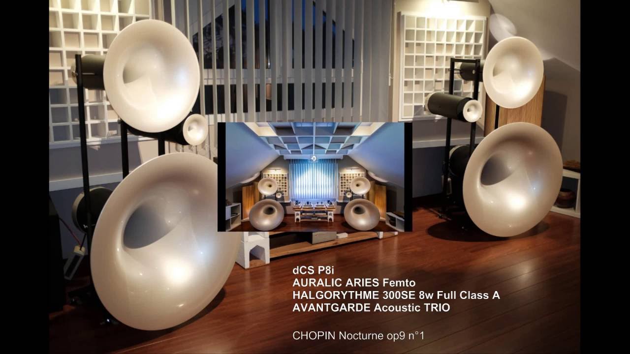 AVANTGARDE Acoustic TRIO, HALGORYTHME 300B, dCS P8i, AURALIC Aries Femto