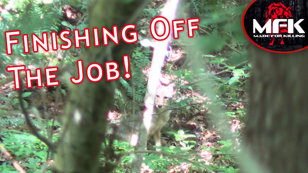 Part Two Of The TN 5 Coyote Stand!!