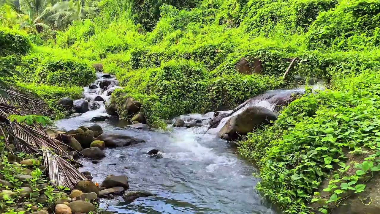 🌊 Sleep Better Tonight | Natural Forest River ASMR For Stress Relief