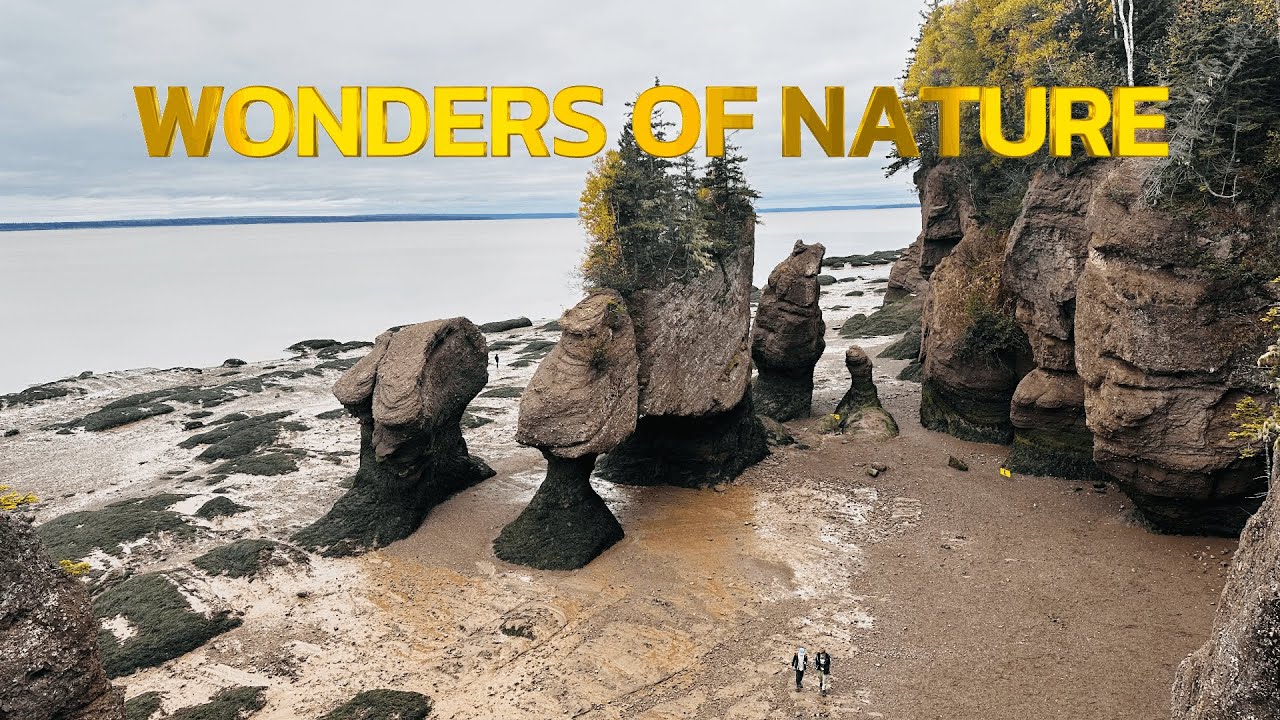 HOPEWELL ROCKS | പ്രകൃതിയുടെ ഒരു അത്ഭുതം | MIRAMICHI | NEW BRUNSWICK | MONCTON | CANADA MALAYALAM