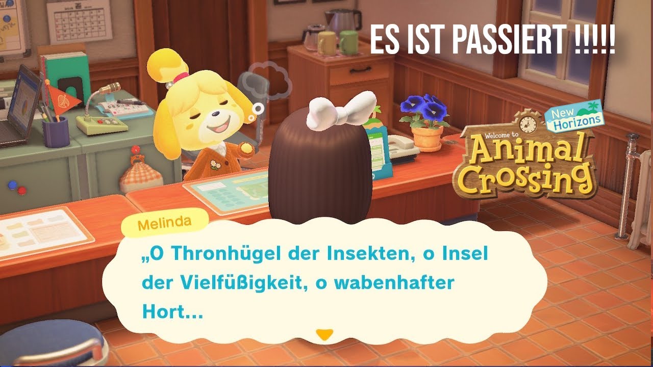ACNH: Es ist passiert. Was kommt als nächstes?