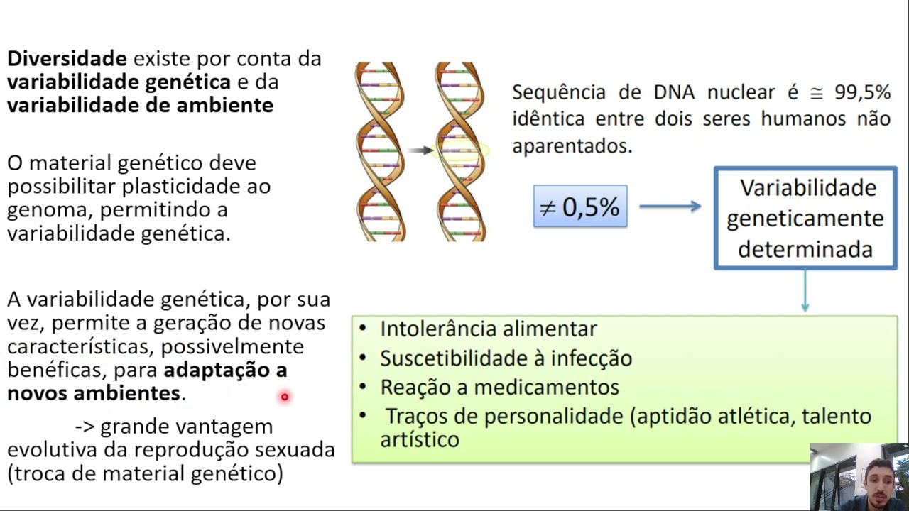 Biologia Molecular - Mutação, Reparo e Recombinação do DNA - parte 1/2