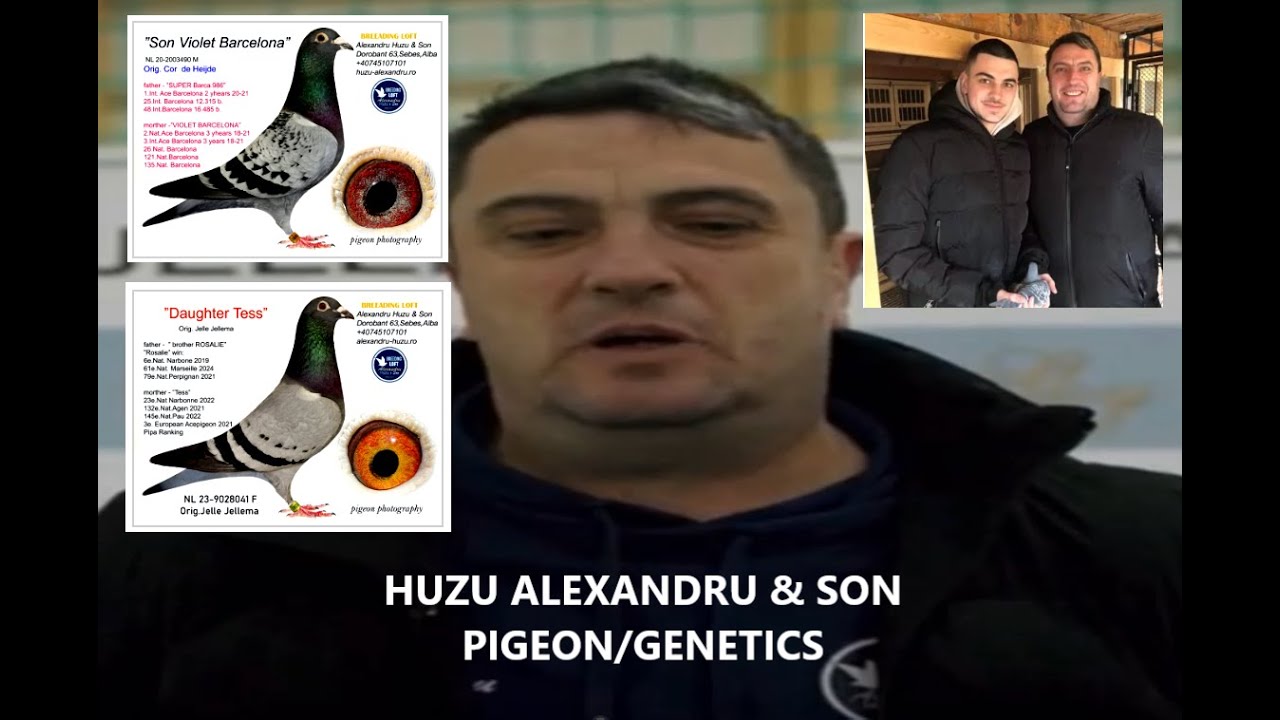 HUZU ALEXANDRU & SON PIGEON/GENETICS