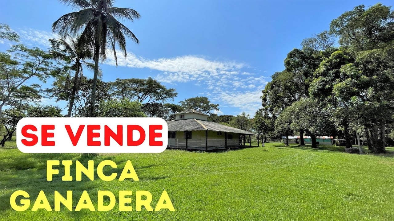 🐮💥EXCELENTE FINCA GANADERA DE 80 HECTAREAS EN YOPAL CASANARE💲🤑🐂🐟