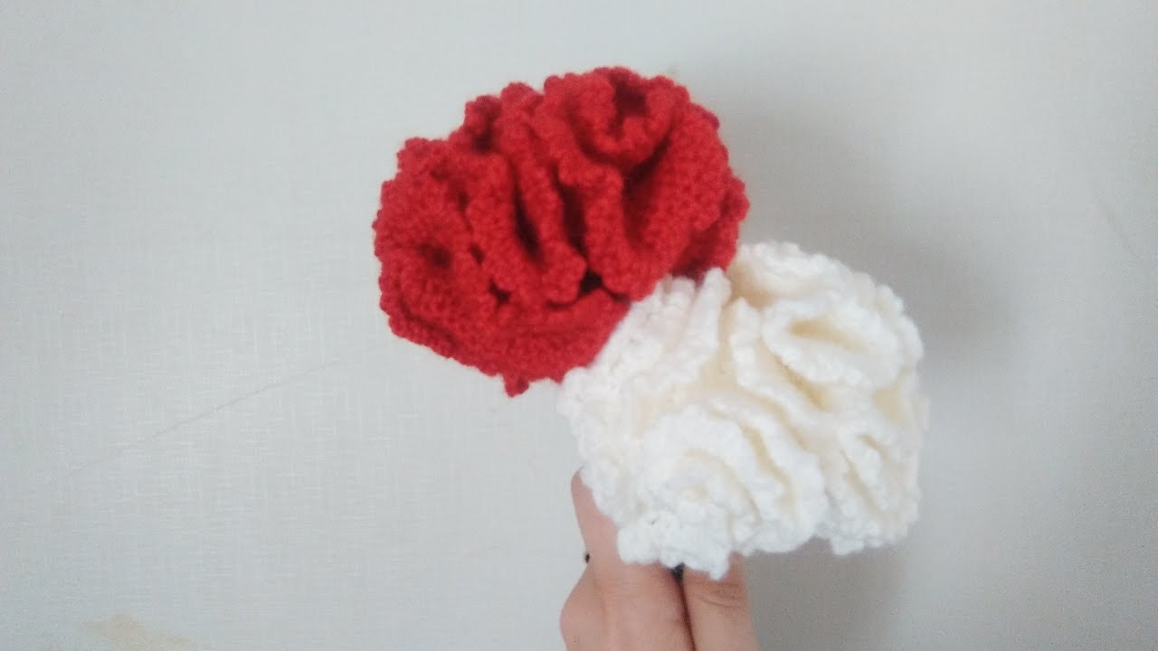 CLAVEL CROCHET/ GANCHILLO