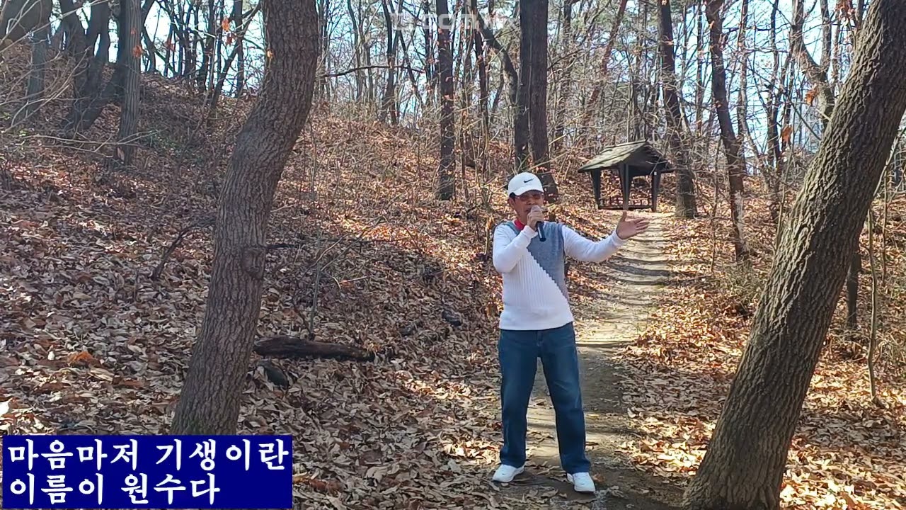 화류춘몽 (이화자)