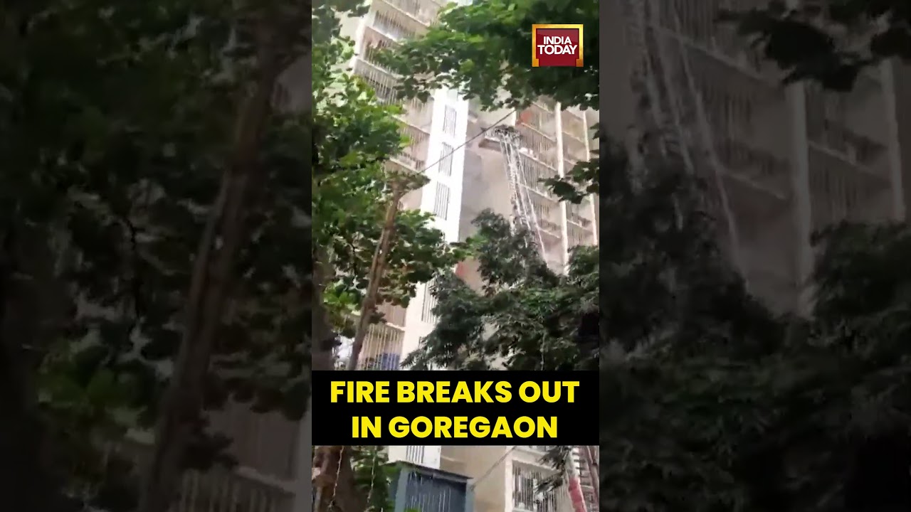 Mumbai Fire Incident: Blaze on 11th Floor of Goregaon East Building Doused Successfully