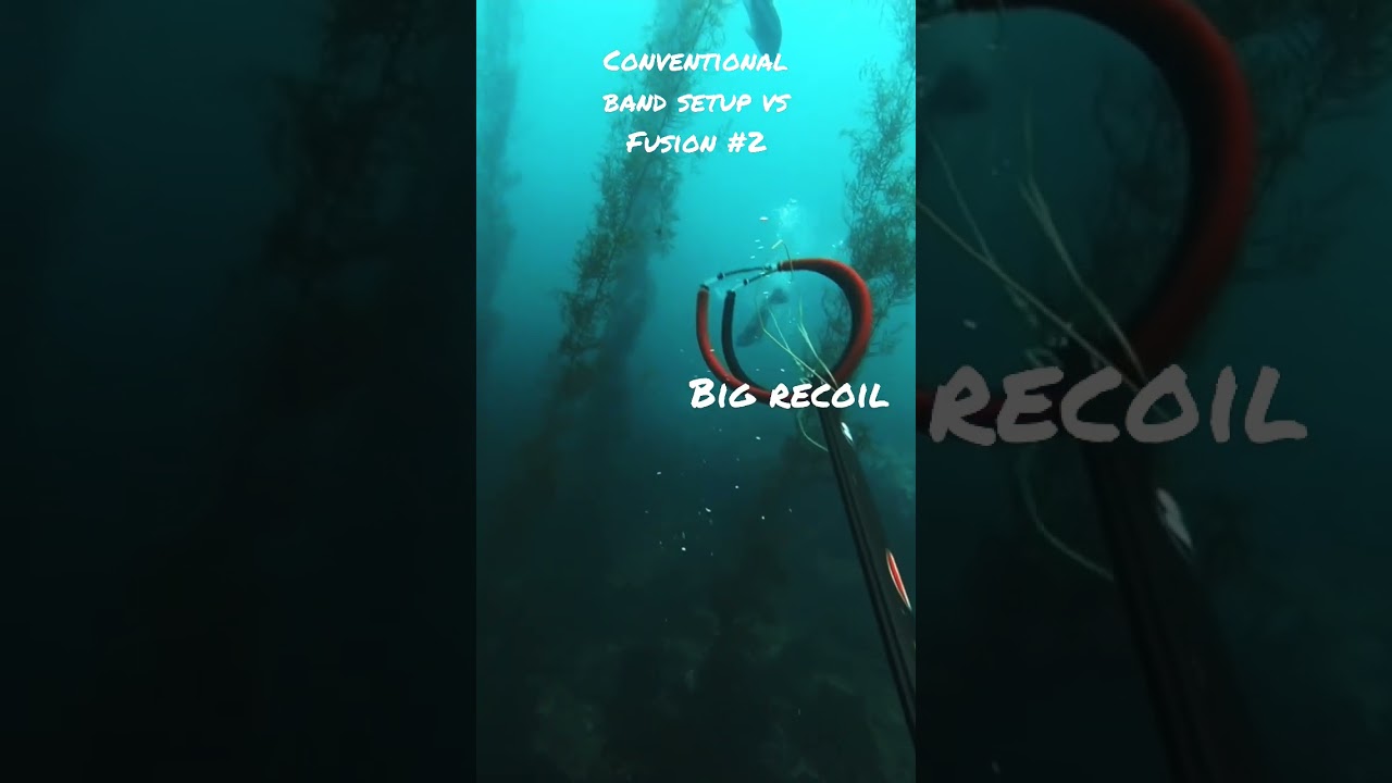 #spearguns - Standard vs. #Fusion - #spearfishing #diving #spearfishing_international