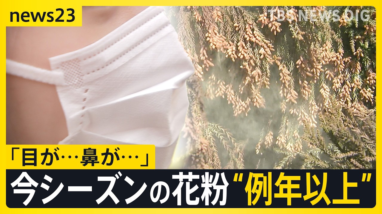 あす春節　賑わう観光地では「目薬とティッシュは必ず…」スギ花粉　東京で飛散開始　一方でインフルB型急増　1シーズンで2度「警報レベル」超え【news23】｜TBS NEWS DIG