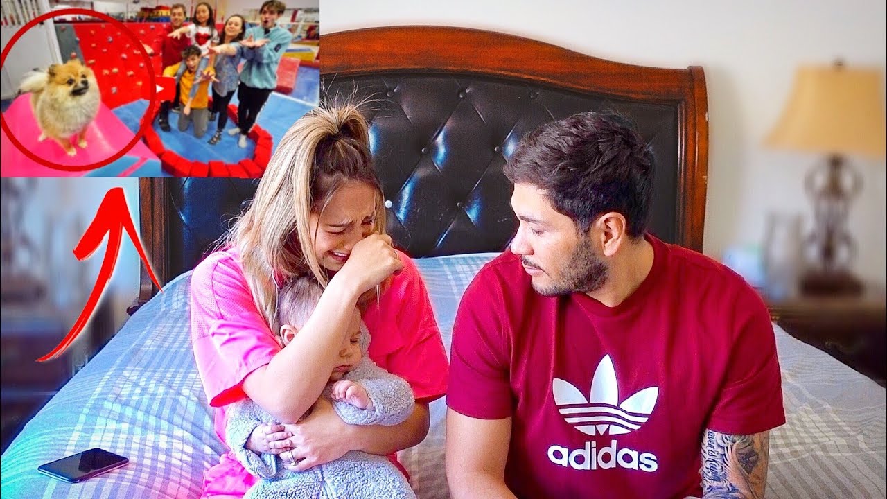 Lucas And Marcus Don't Have Our Missing Puppy March Pom | Familia Diamond