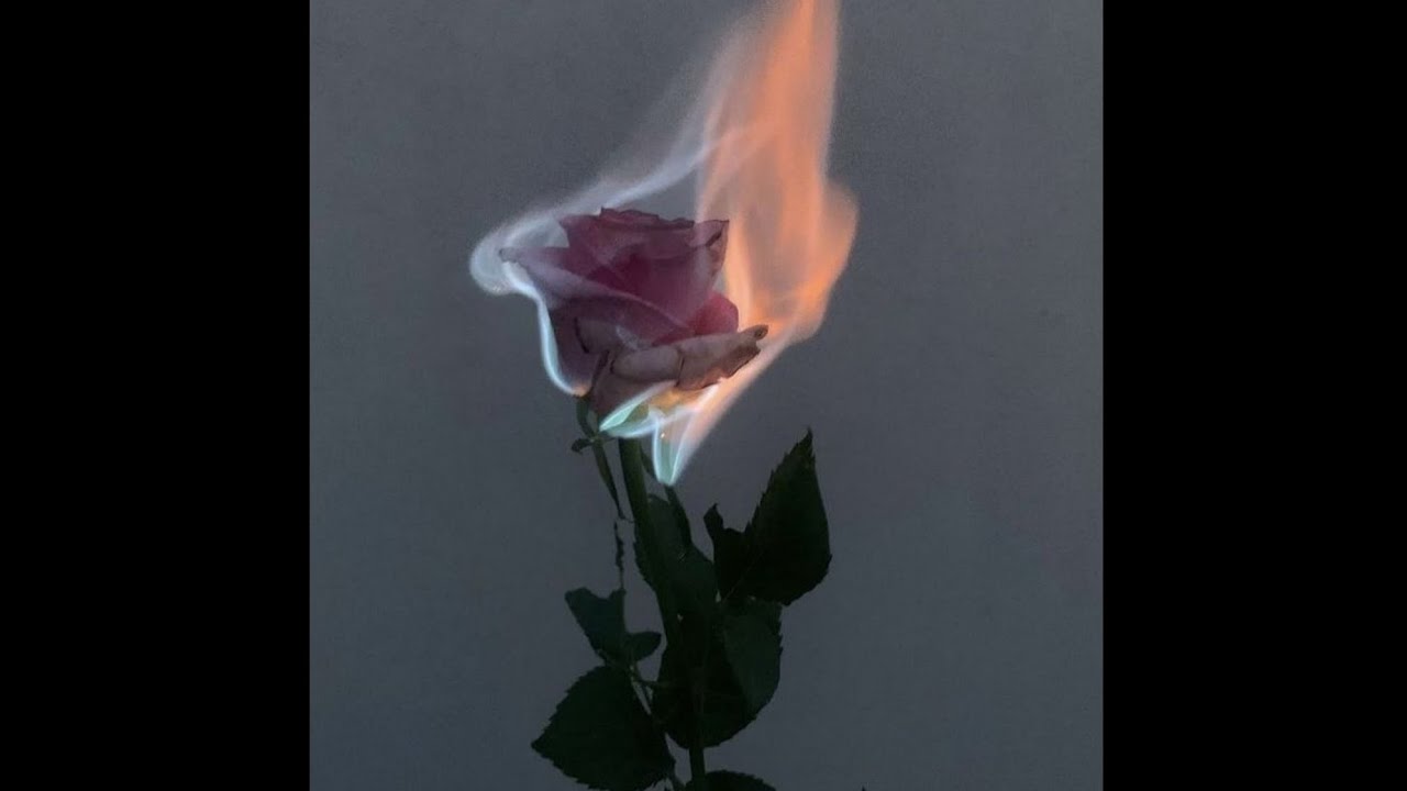 (FREE) Pop Type Beat - Fly High | Indie Pop Type Beat | The Kid LAROI Type Beat