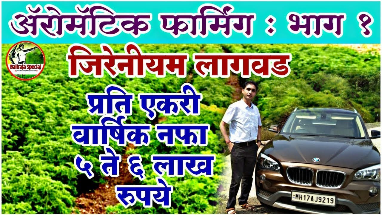 √100% फायदा | जिरेनीयम लागवड | लागवड ते विक्री संपूर्ण मार्गदर्शन | Geranium plants farming | CSIR