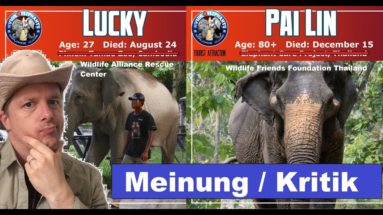 Viele Fehler und unklare Definitionen bei 