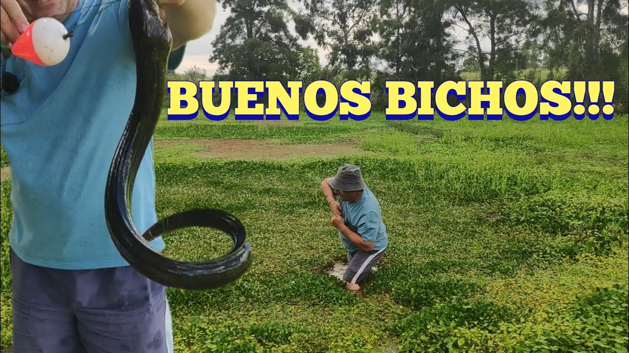 En este lugar salen buenas tarariras en Pesca en agua dulce