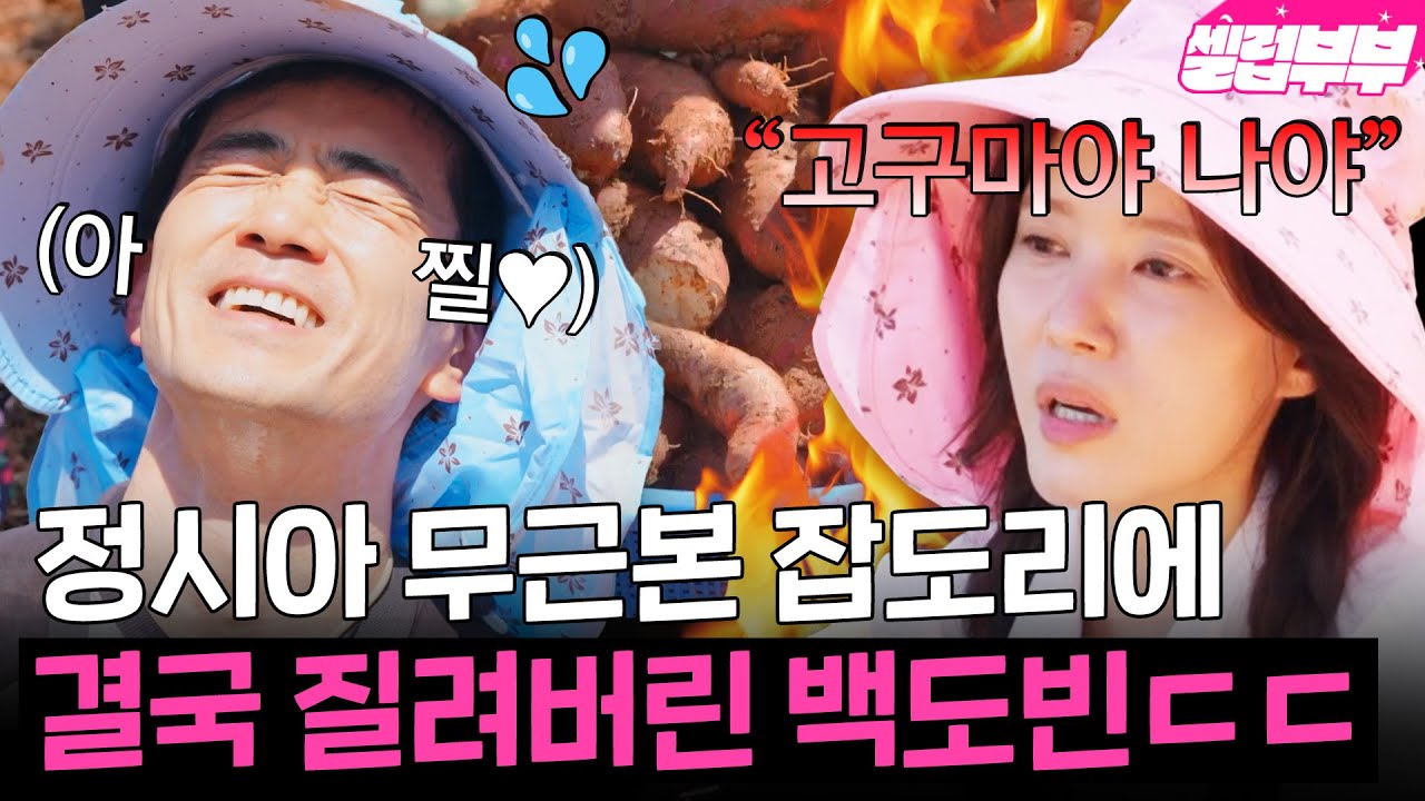 ＂고구마가 중요해, 내가 중요해!!! ＂ 정시아의 무근본 잡도리에 질려버린 백도빈😭｜대놓고 두집살림｜JTBC 251202 방송