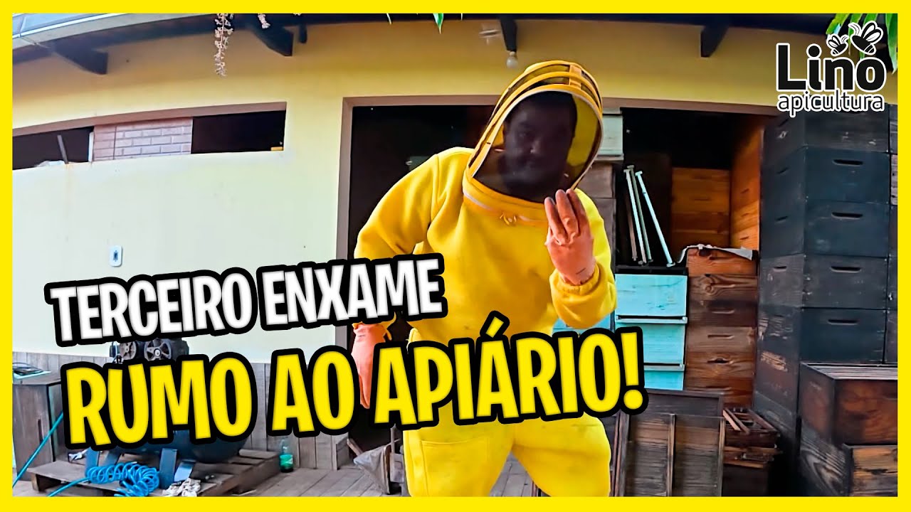 Organizamos os 3 Enxames  e o Terceiro Surpreendeu!