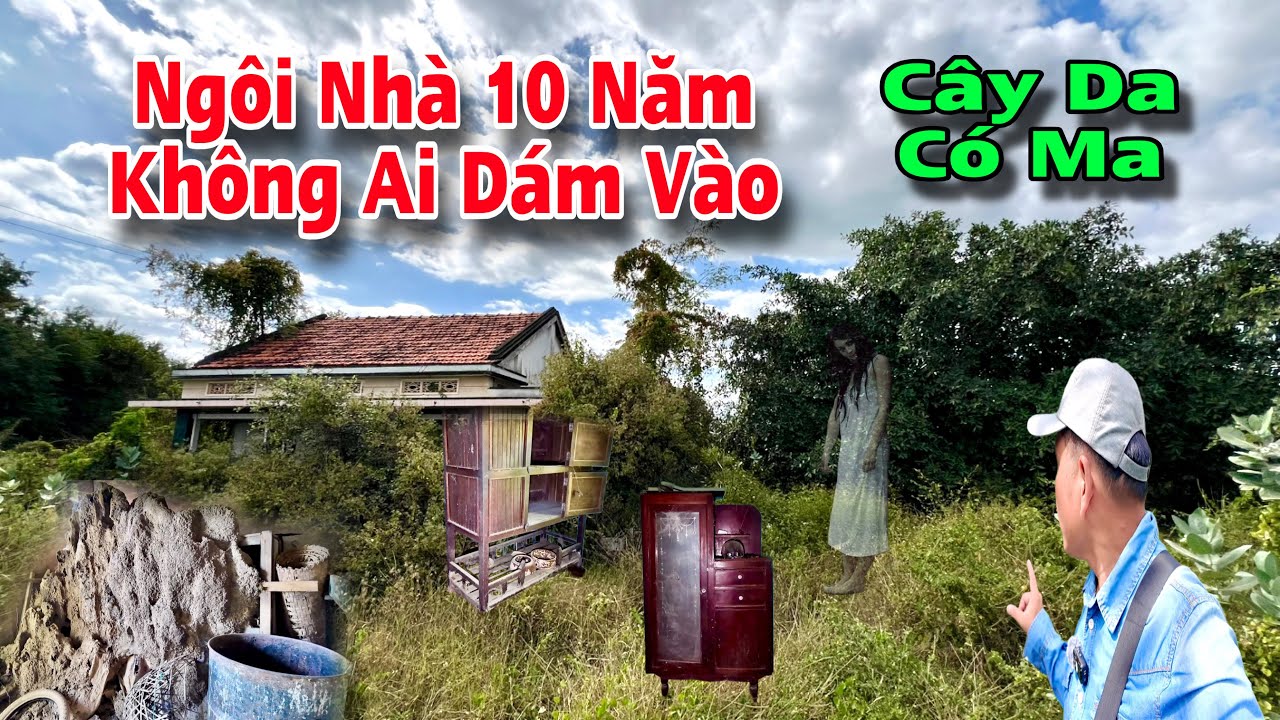 Ngôi nhà Thầy Cô giáo bỏ hoang vì trồng cây da có ma