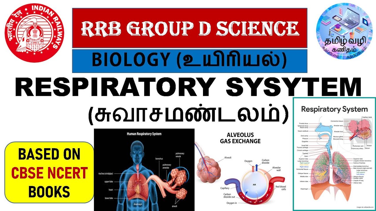 RESPIRATORY SYSYTEM (சுவாசமண்டலம்)/BIOLOGY/RRB GROUP D & NTPC & SSC SCIENCE IN TAMIL