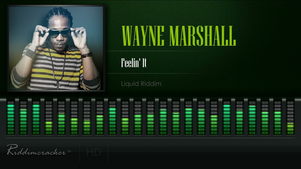 Wayne Marshall - Feelin' It (Liquid Riddim) [HD]