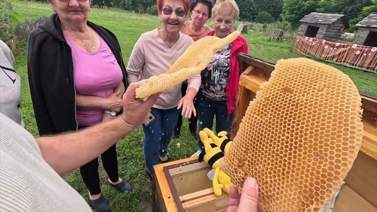 Pszczelarstwo. Zajęcia w Kieleckim Uniwersytecie Ludowym im. Andrzeja Kadłubka.