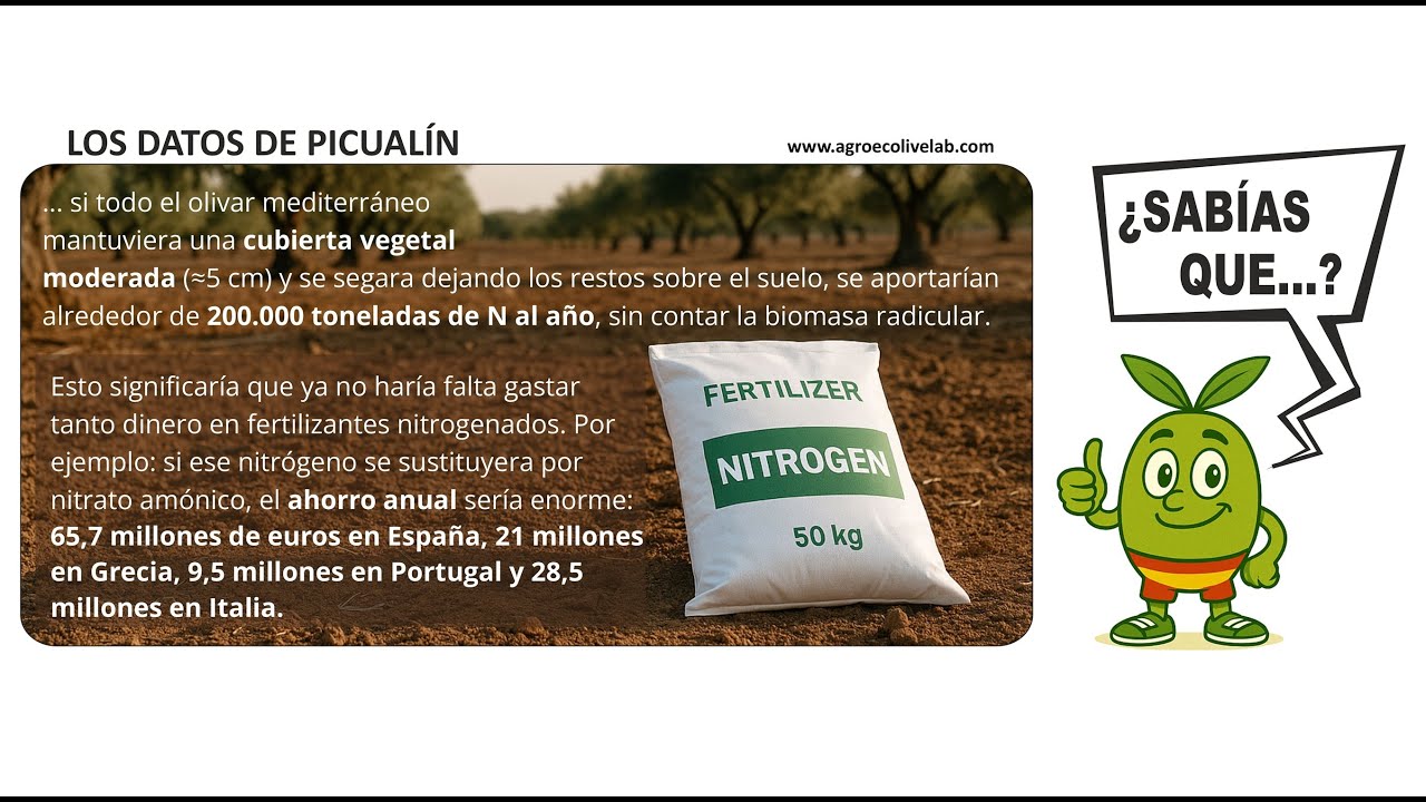 EL OLIVAR EN CIFRAS #03 La cubierta vegetal