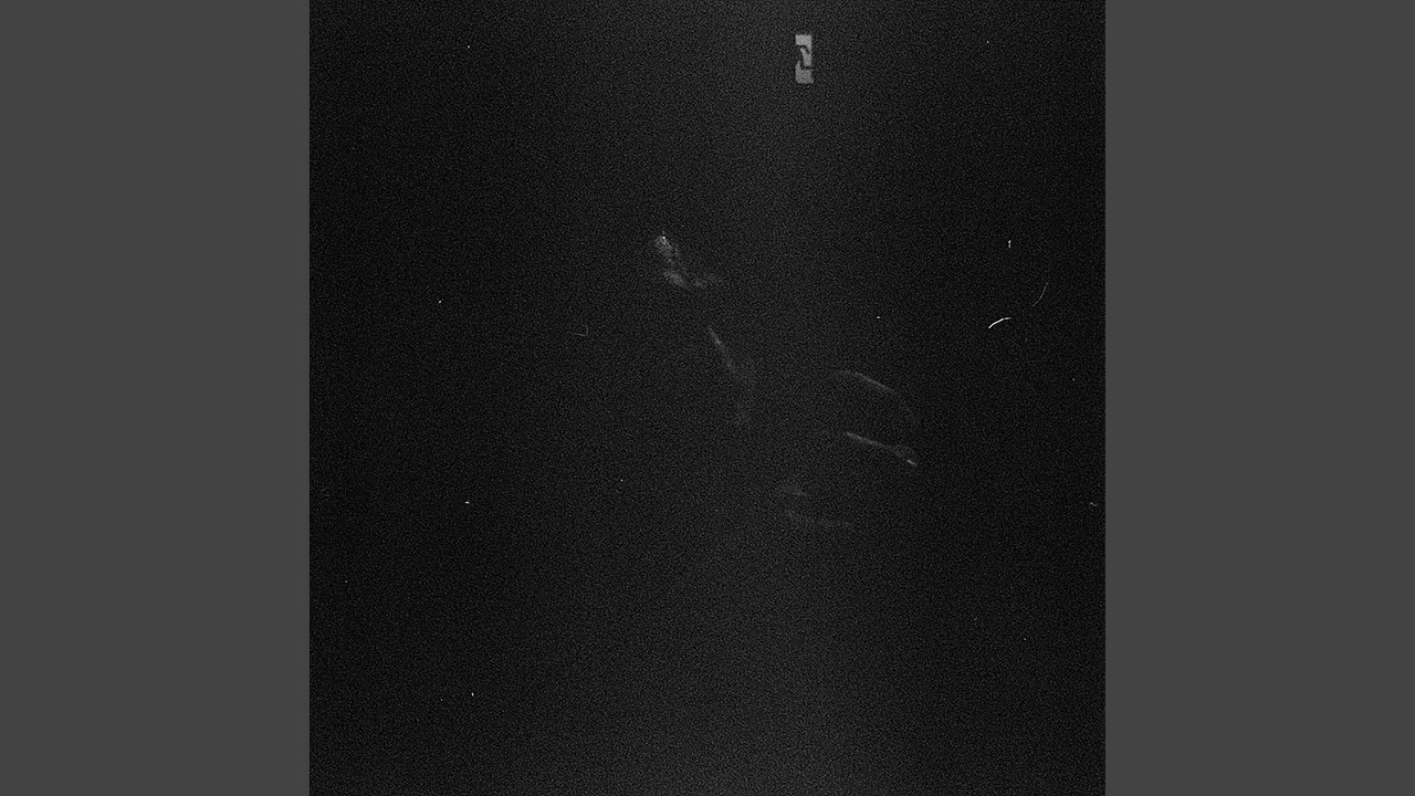 sleepless night memento (지금부터 코끼리를 생각하지 마세요)
